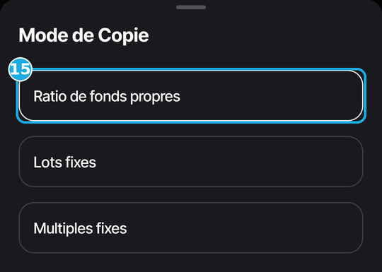Liste des modes de copie de Vantage : 15, Ratio de fonds propres.