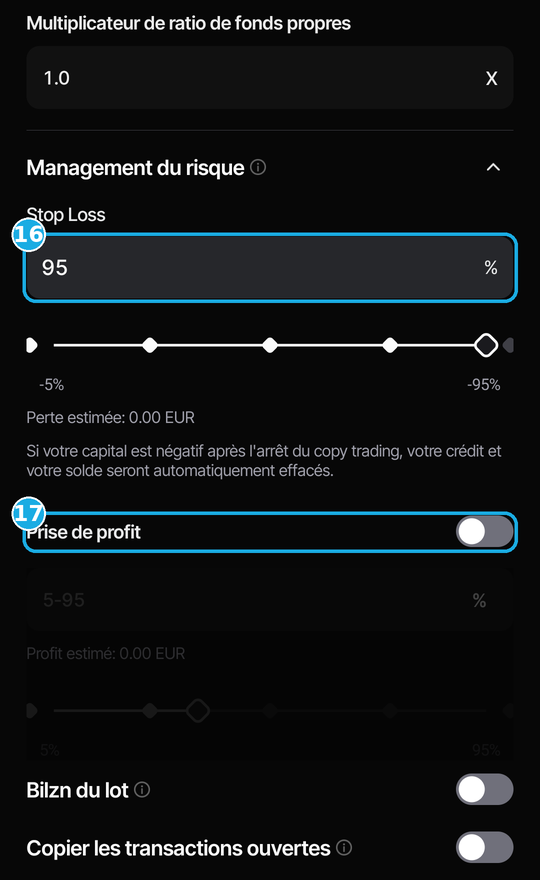 Management du risque ouvert dans Vantage : 16, Stop Loss réglé à 95 % ; 17, Prise de profit désactivée. Bilan du lot et Copier les transactions ouvertes sont aussi désactivés.